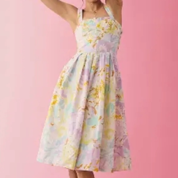 Brand New MAEVE SLEEVELESS SWEETHEART CORSET A-LINE DRESS - Picture 6 of 14